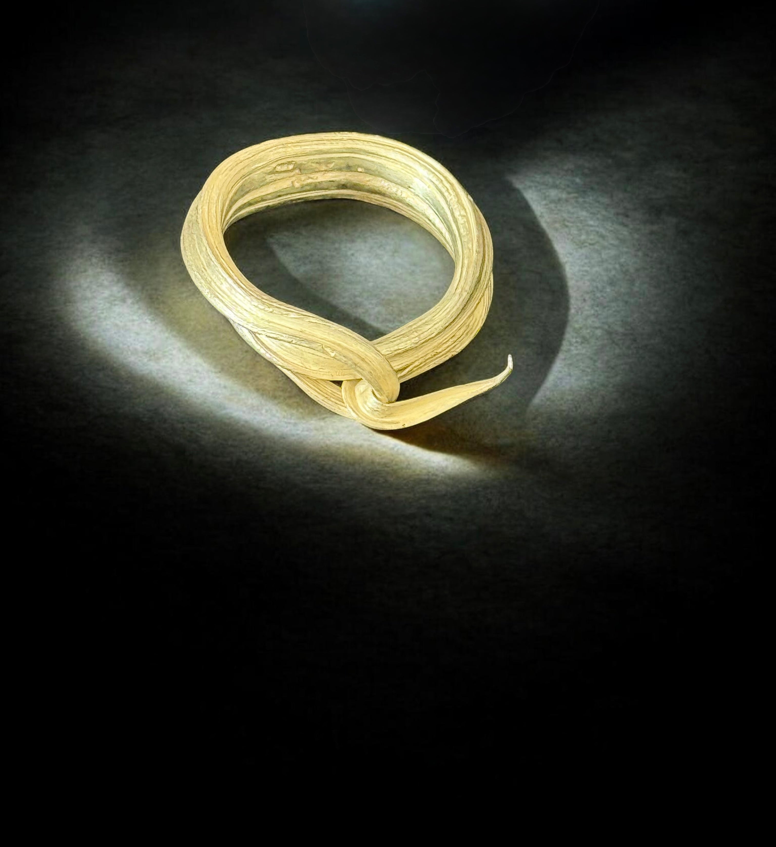 Anillo Zamami