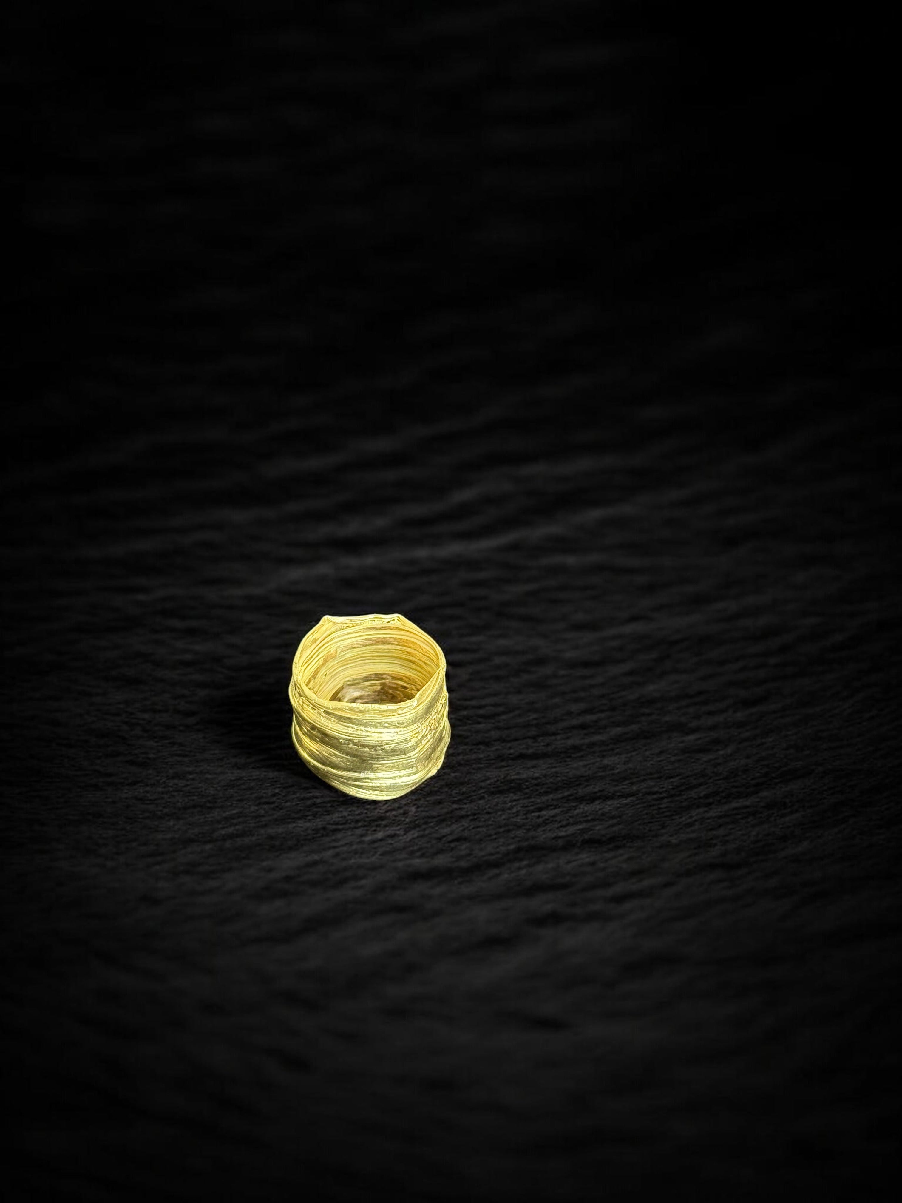 Anillo Takoya