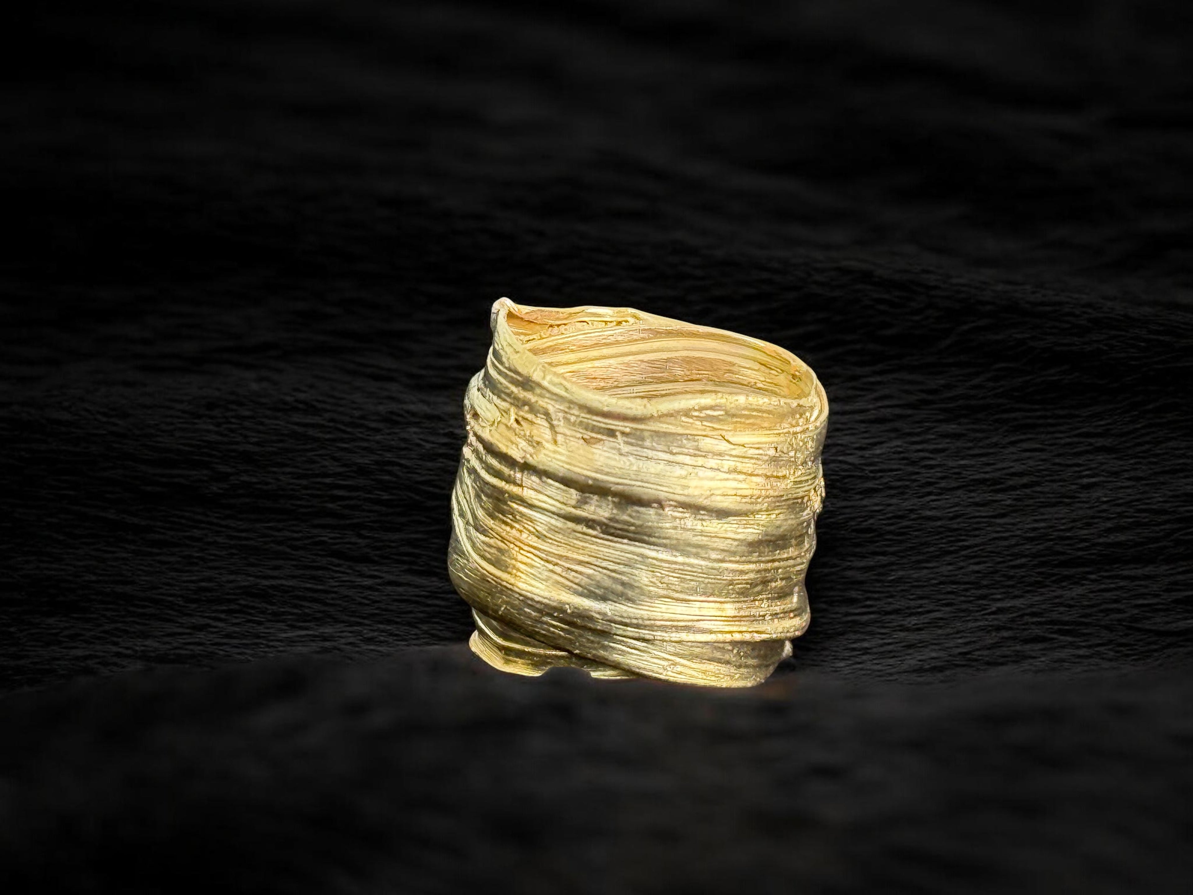 Anillo Takoya