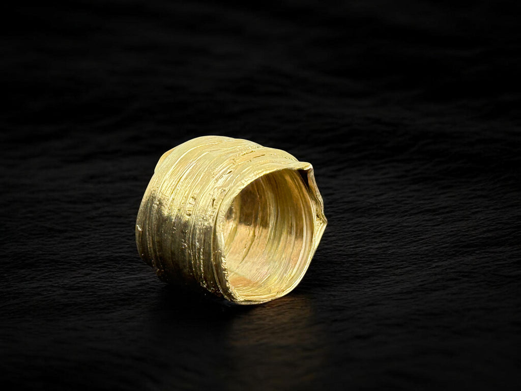 Anillo Takoya