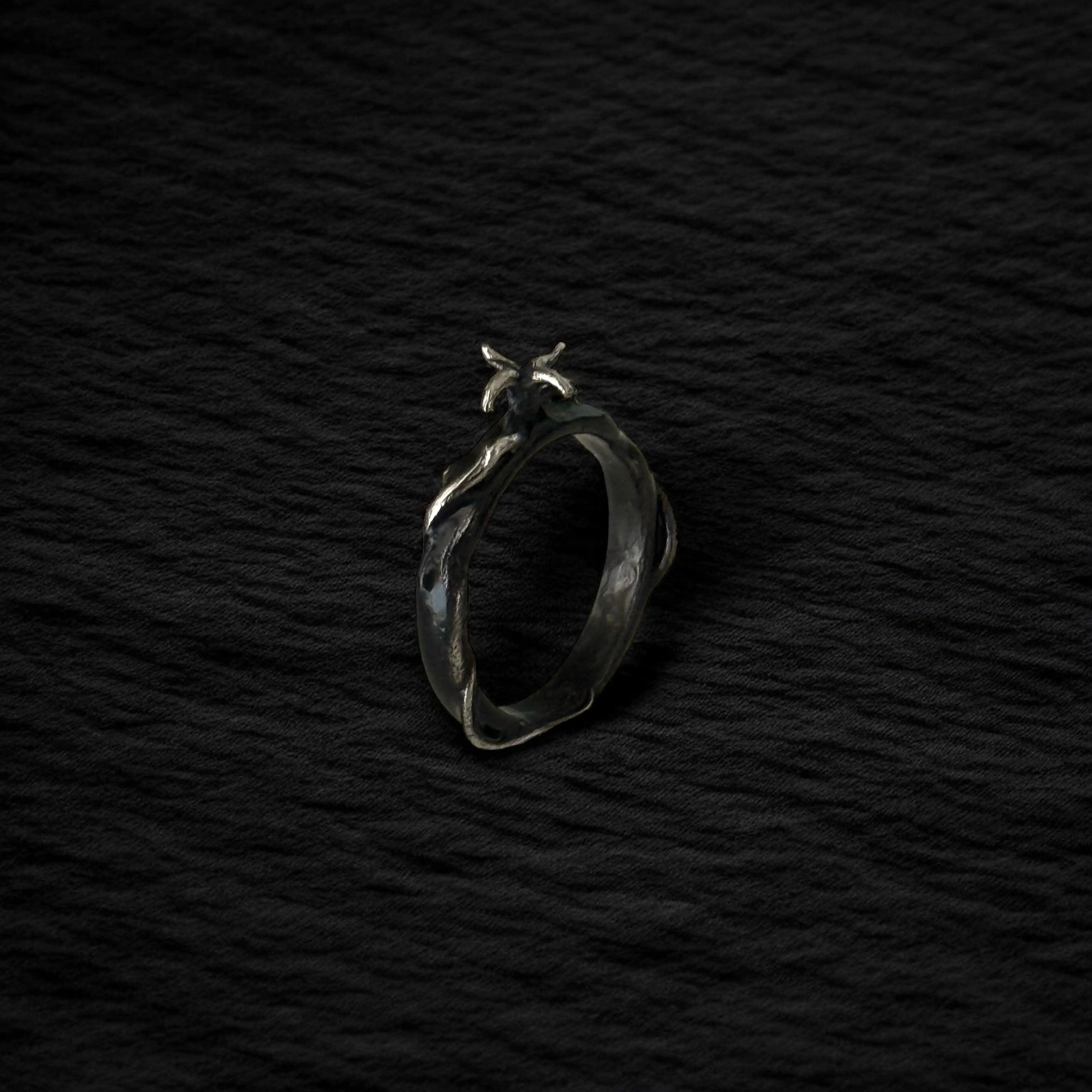 Anillo Inhumación - Plata
