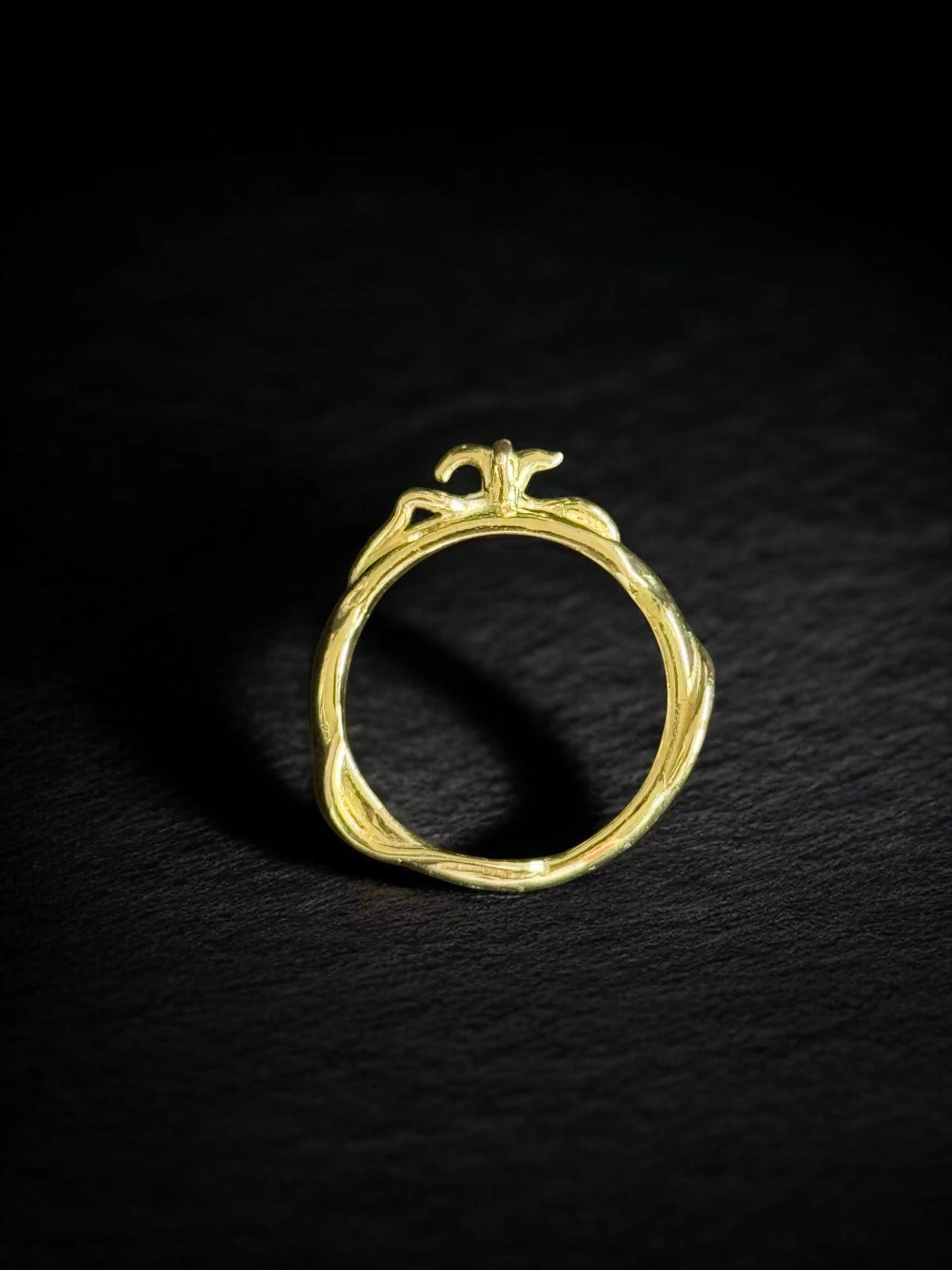 Anillo Inhumación — Oro amarillo