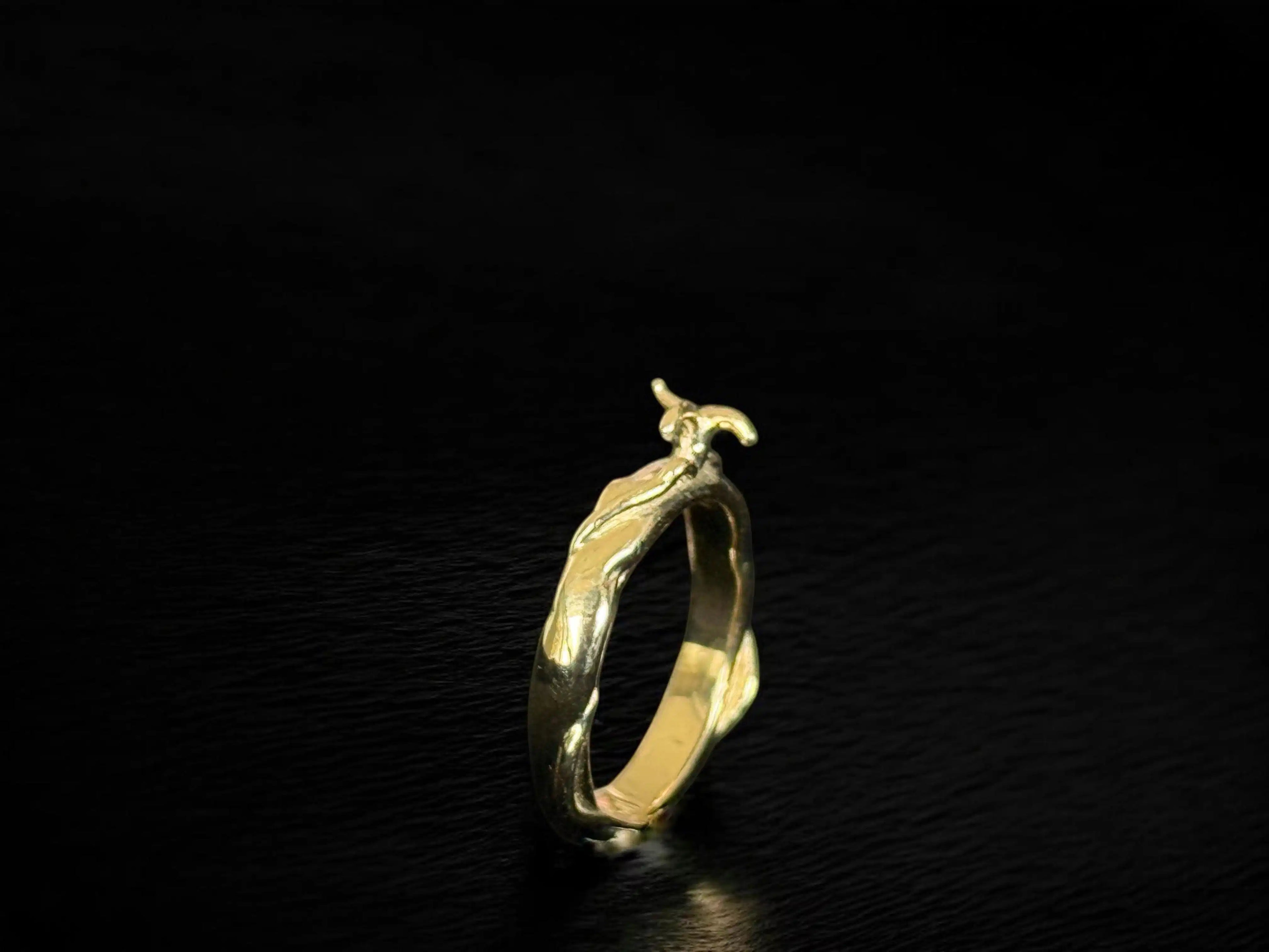 Anillo Inhumación — Oro amarillo