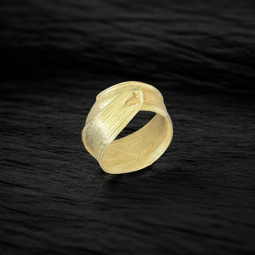 Anillo Hateruma