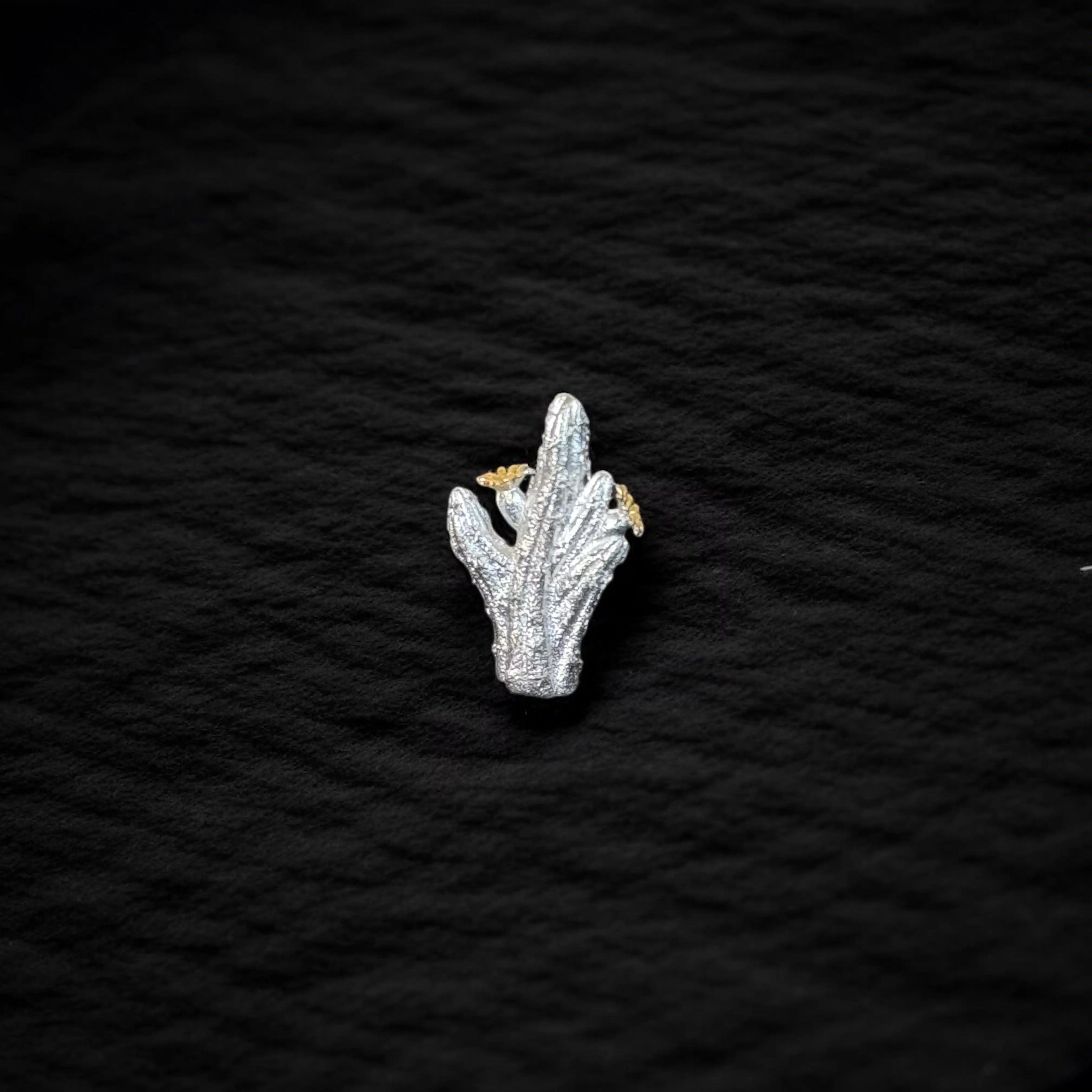 Dije Último latido — Plata