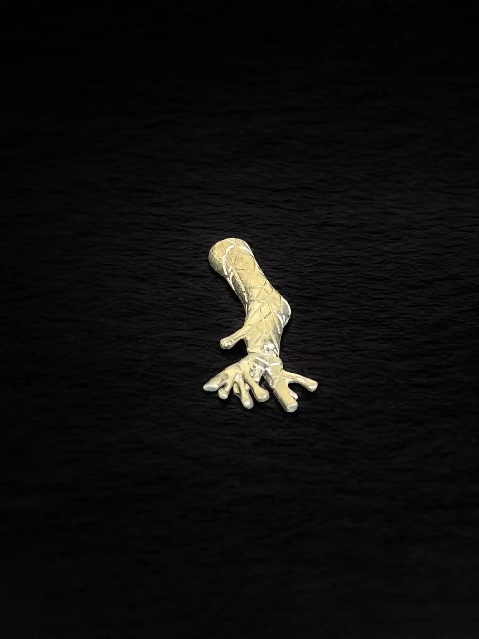 Dije Fósil — Plata