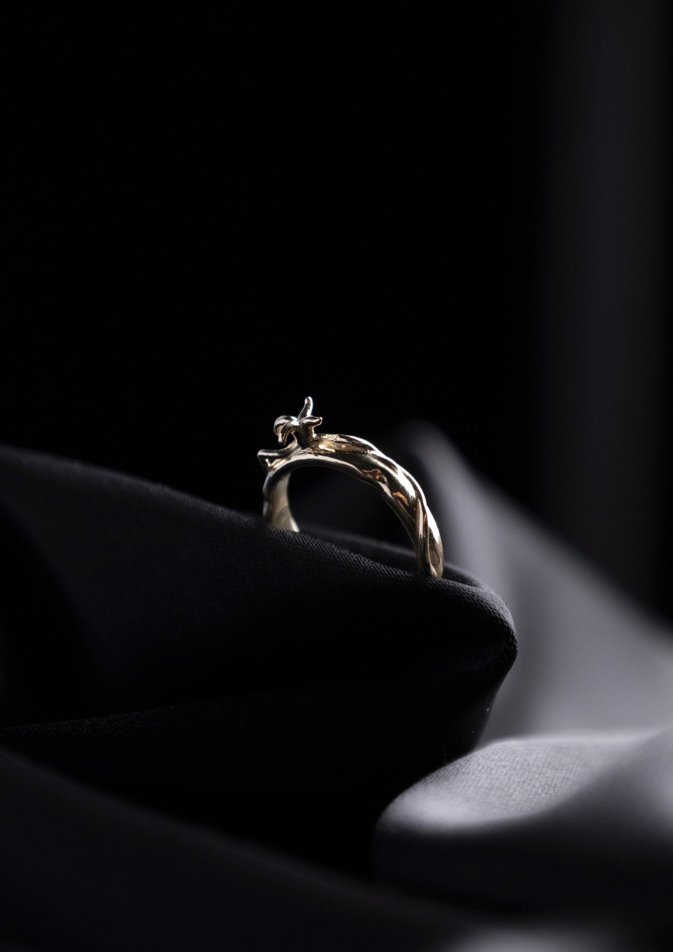 Anillo Inhumación — Oro amarillo