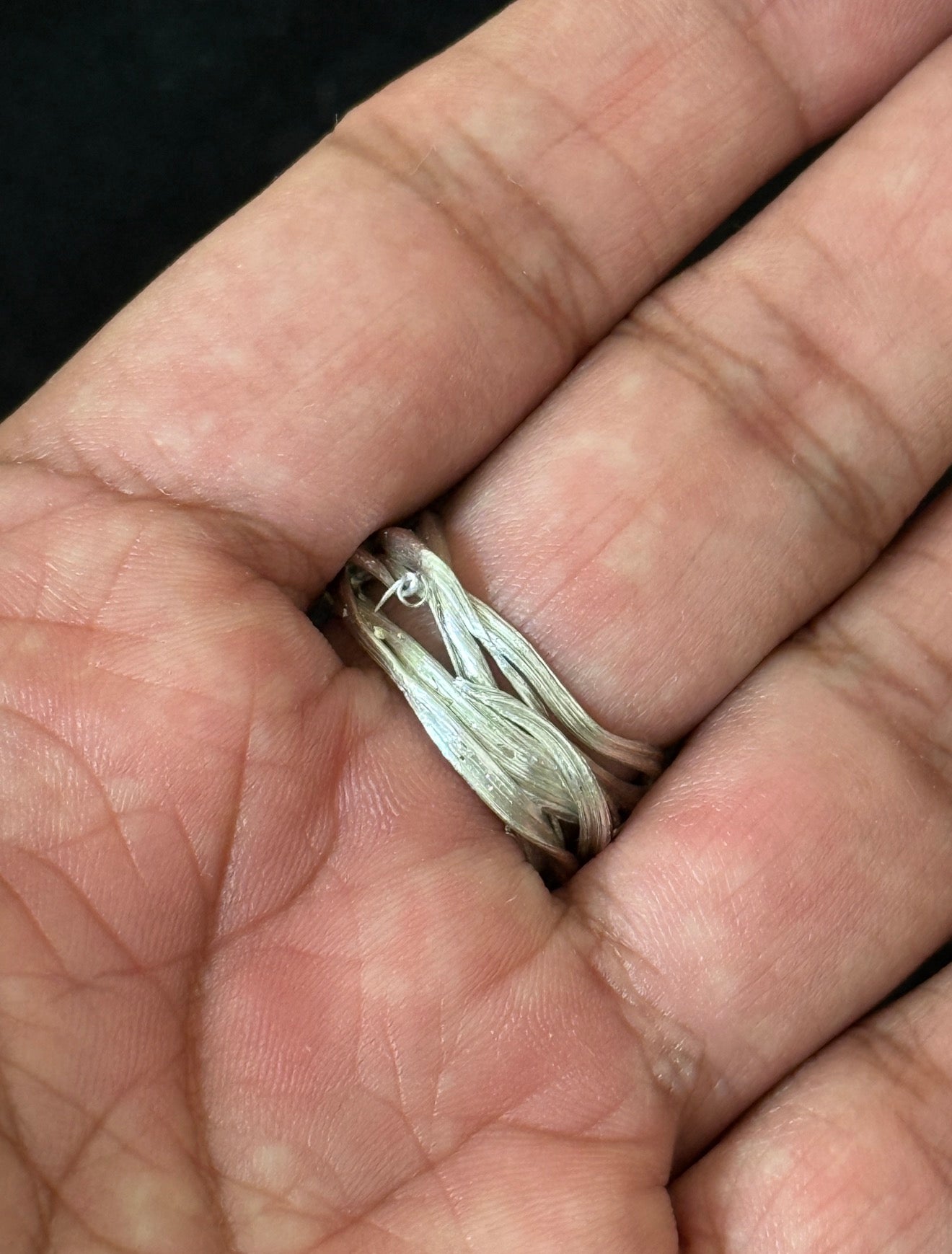 Anillo Amami