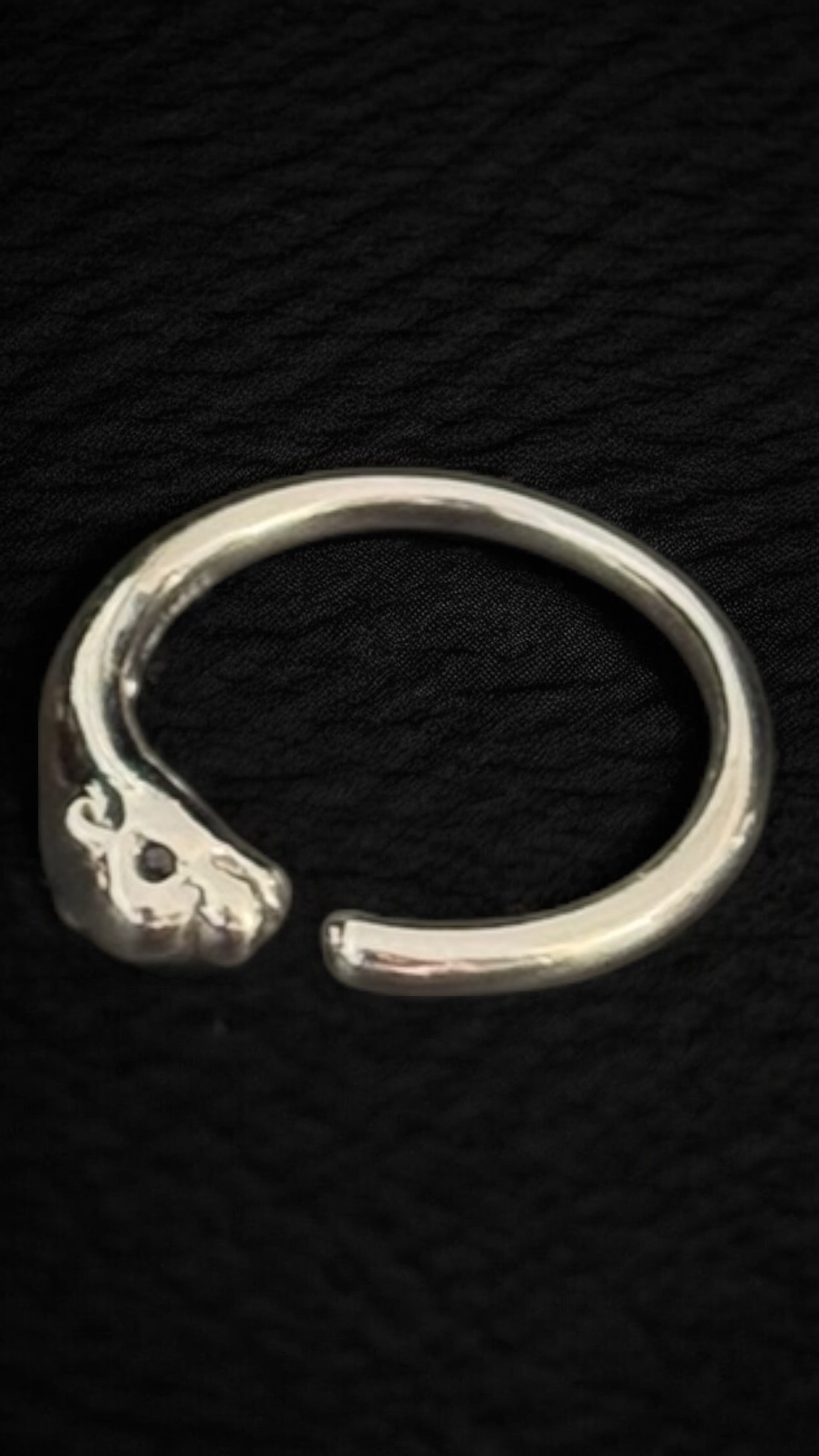 Anillo pantera