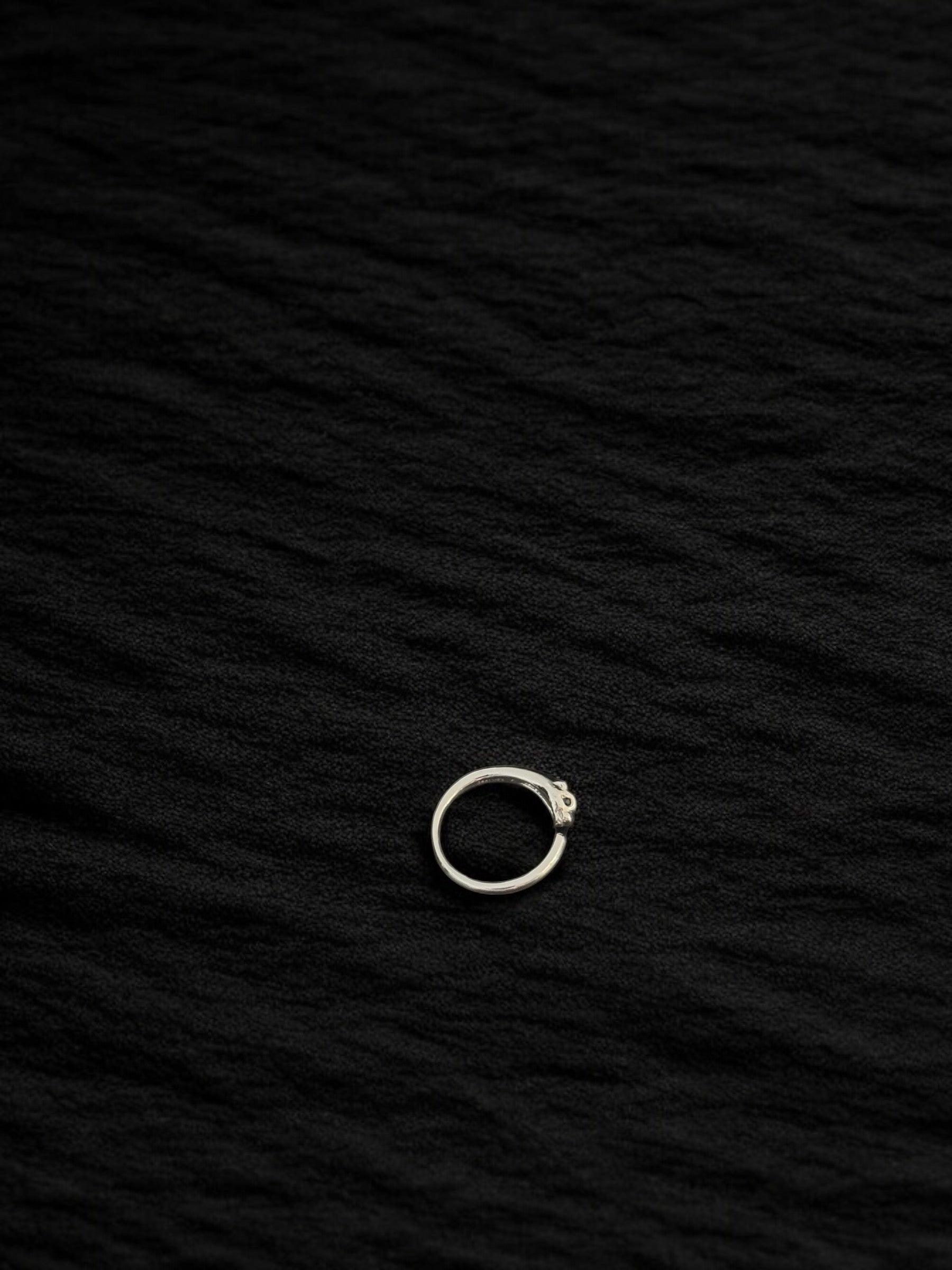 Anillo pantera