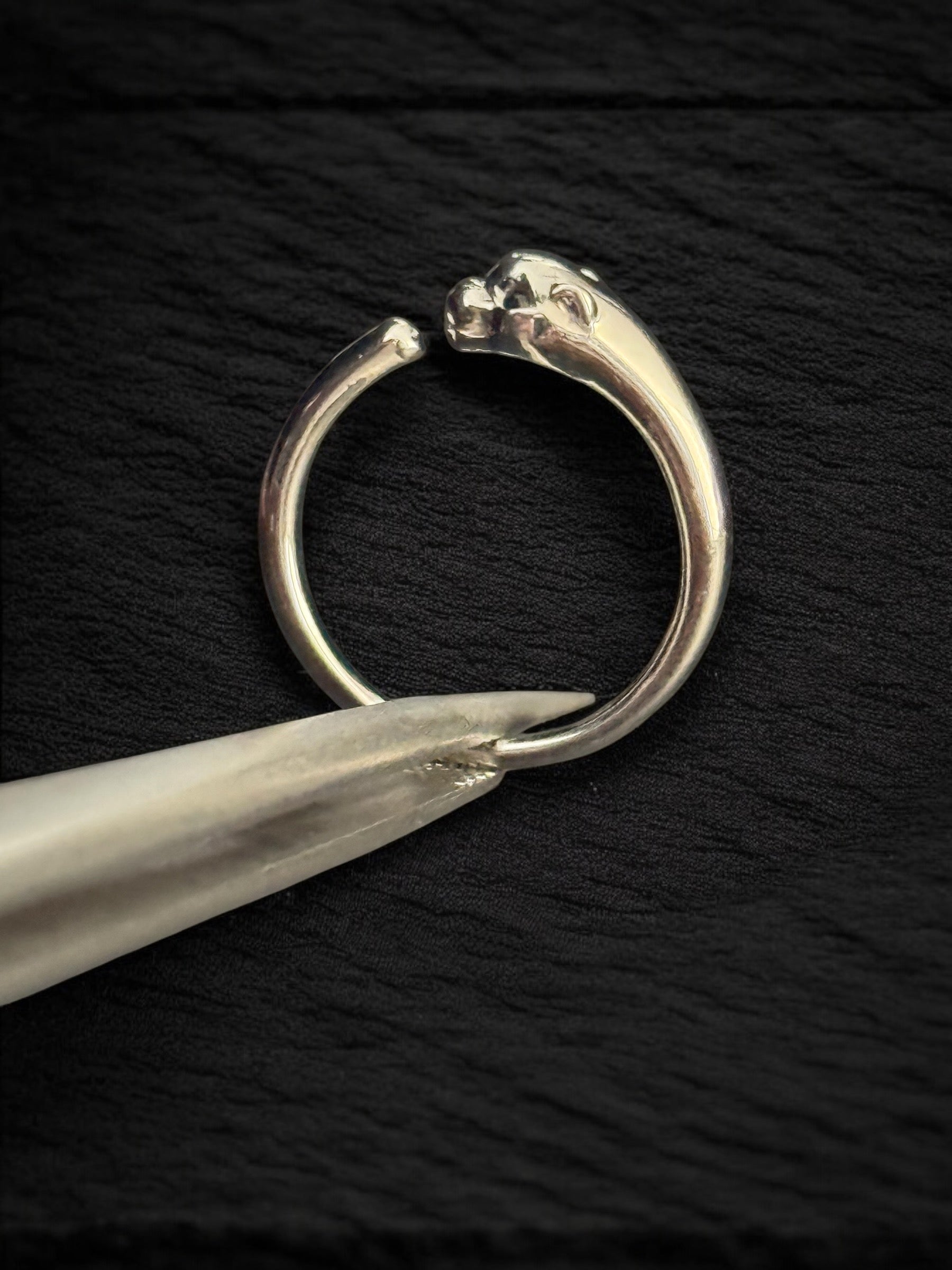 Anillo pantera