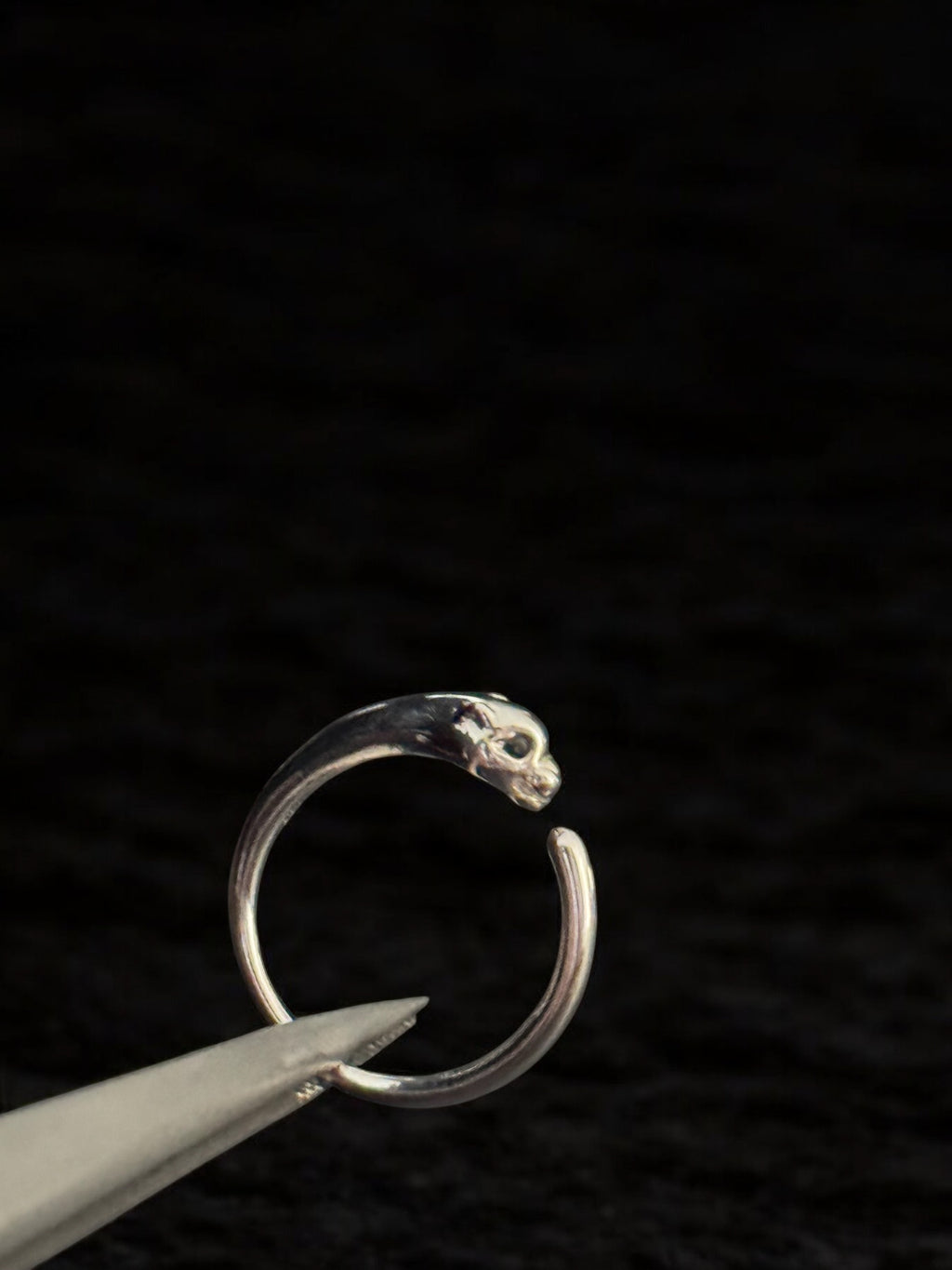 Anillo pantera