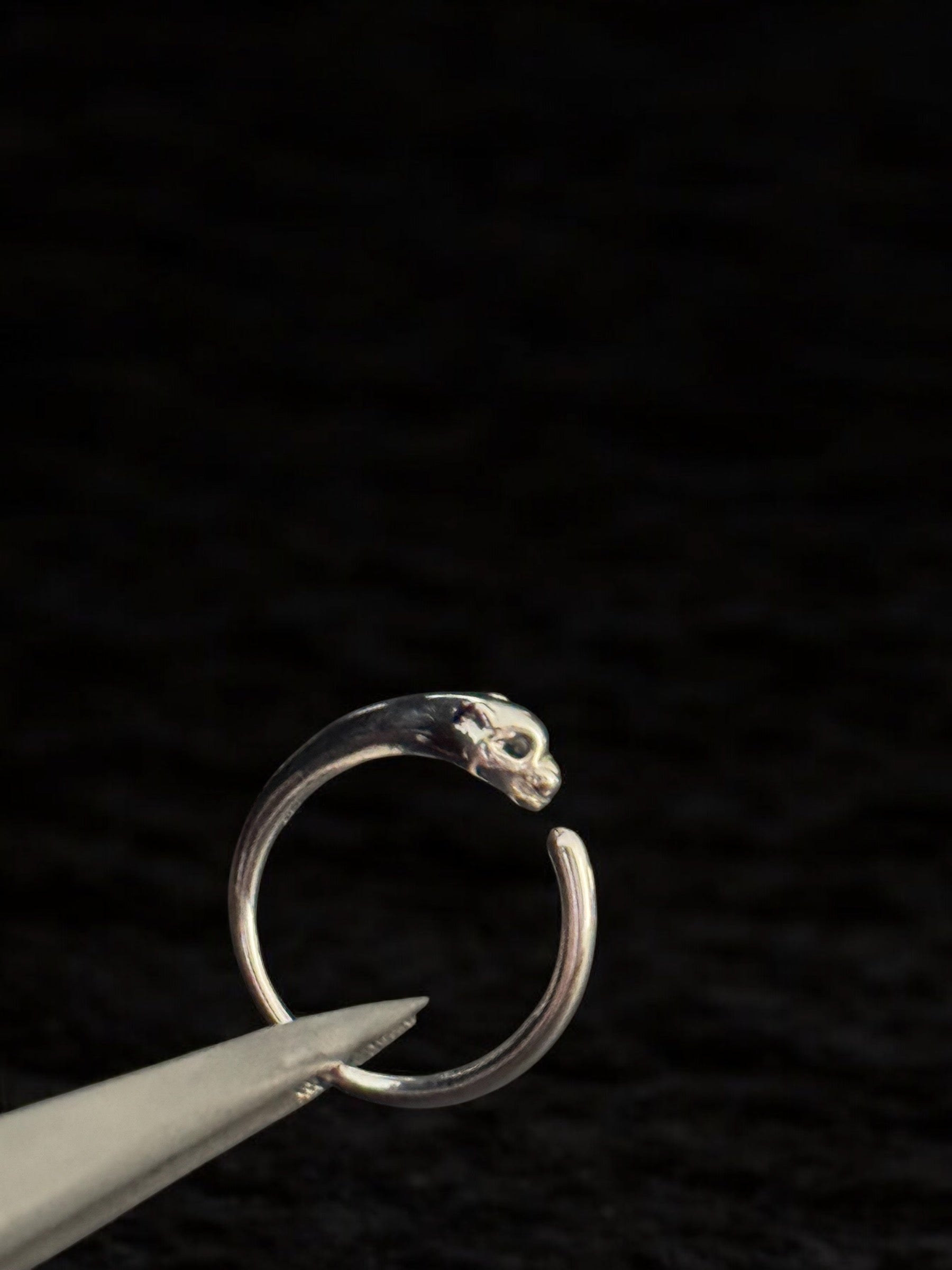 Anillo pantera