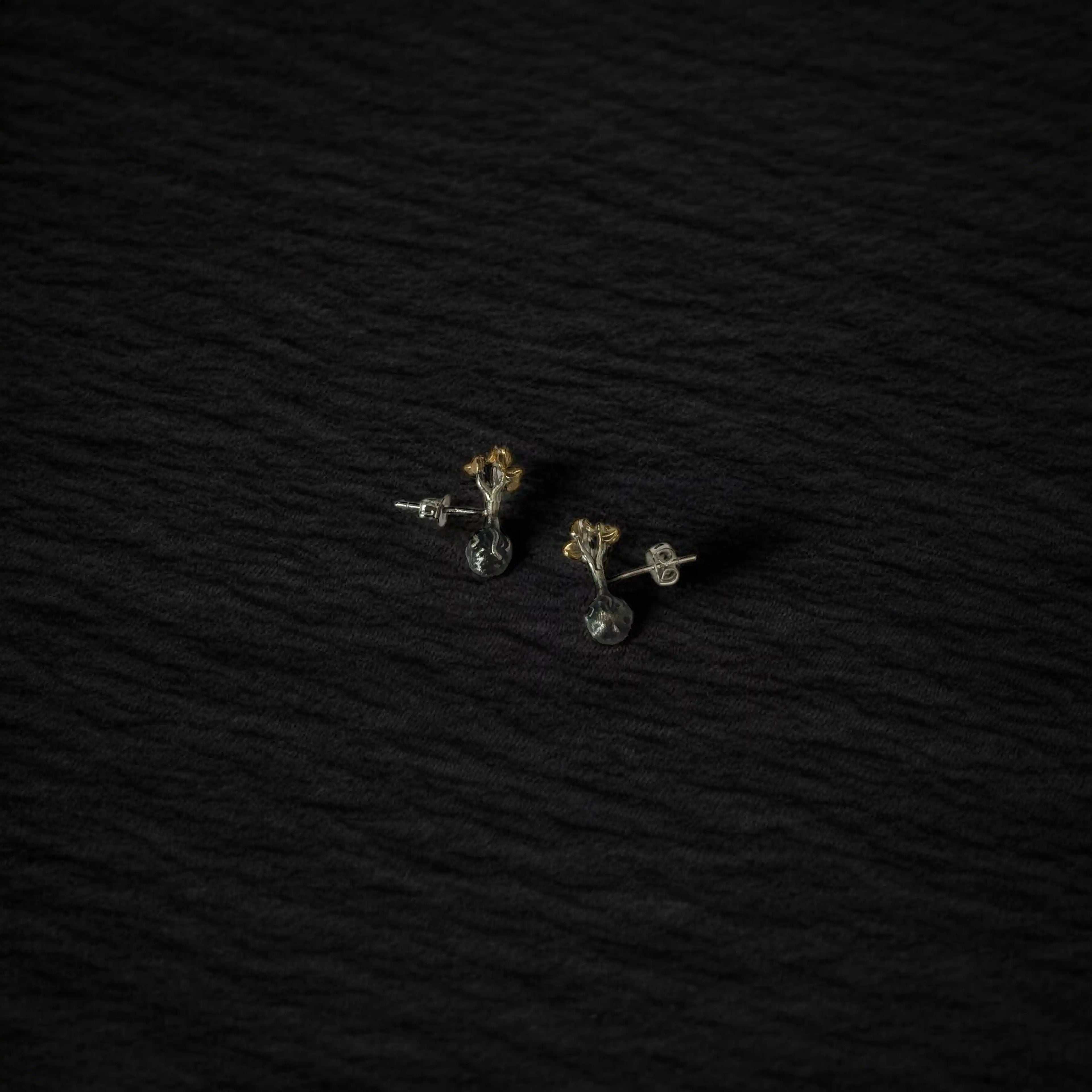 Aretes Brotes de ceniza — Plata