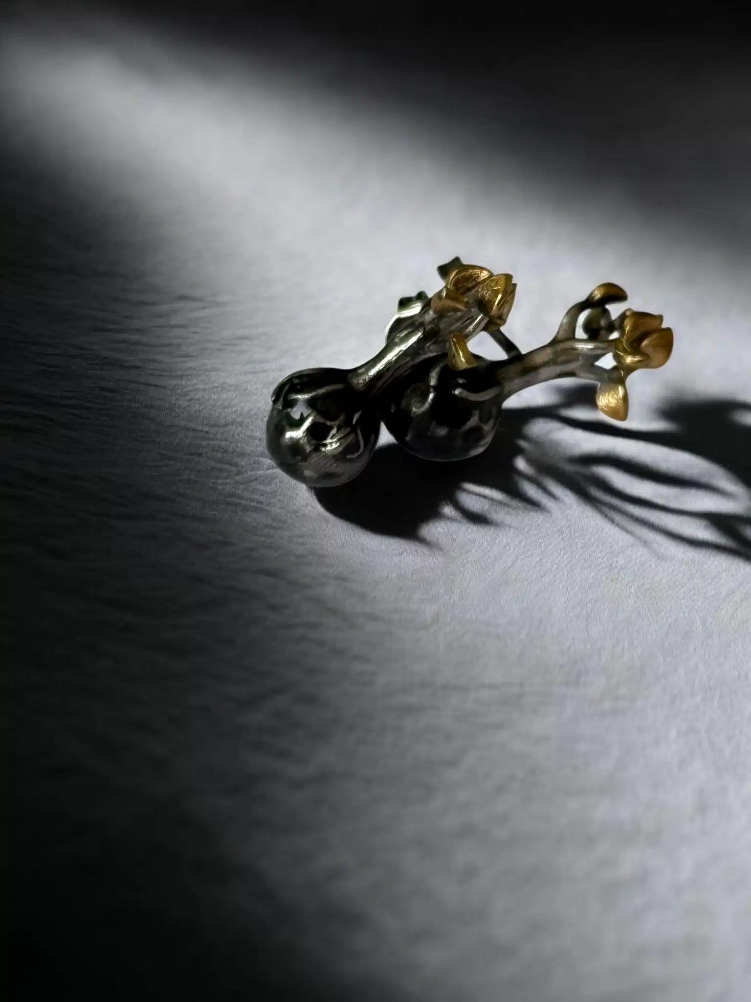 Aretes Brotes de ceniza — Plata